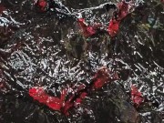 Mixed Media Arts from trash (Lava Art) 12/16