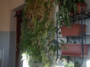 Rate 13 - Screenshot 12 of 16 - Big Ass Mom