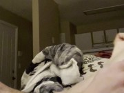 Vibrator Couch Sex (Full Video)