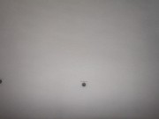 Little guy see my beautiful pussy 1/16