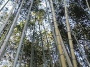 Exploring Tokyo's Giant Sex Shops. 2nd Part!! 15/16