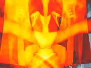 Beautiful exotic 8/16