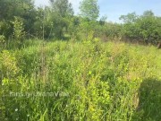 Beautiful student sucks cock in the park and is not afraid to be noticed 10/16