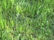 Beautiful student sucks cock in the park and is not afraid to be noticed 6/16