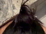 Step sister catches me spying on her and lets me fuck her 6/16