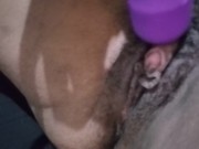 Meu brinquedo novo 16/16