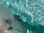 SEXY LUXURY LIFESTYLE OF ELITE AEASTETIC FASHION BABE-SAUDI-ARABIAN SNOWWHITE-WANT BBC ASP IN LA USA 11/16