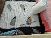 Amateur couple erotic massage. Hot couple sensual oil massage. 1/16