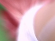 Training my ass with a giant dildo for an intense and painful orgasm 8/16