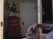 Wife sucking my dick