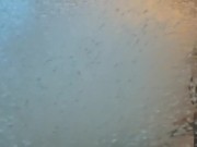 Squirlita's Worm Pit - Solo Worm/Bukkake Therapy Liora x Leocadia from BestRealDoll 8/16