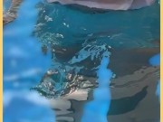 Wifey wet shirt in the pool with perfect braless tits 3/16