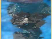 Wifey wet shirt in the pool with perfect braless tits 2/16