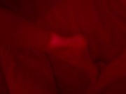 I Touched Myself Thinking of You (ASMR Roleplay) 12/16