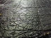 VANEMILFIT-MILF LATINA ARGNETINA FITNESS follada por el PELACONBARBA 1/16