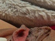 Super close up pussy lips / find more on manyvids 8/16