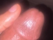 longest dick in the world
