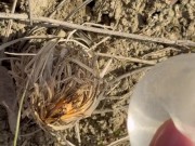 SURVIVAL bushcraft skills: camping lifehacks outdoors forest asmr 12/16