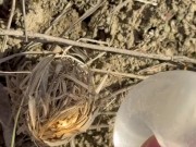 SURVIVAL bushcraft skills: camping lifehacks outdoors forest asmr 9/16