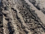 SURVIVAL bushcraft skills: camping lifehacks outdoors forest asmr 3/16