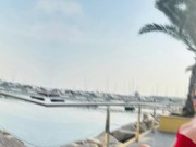 Maca in a photo shoot on the beach in 2025 9/16