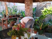 Mutual Masturbation 1/16