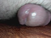 Oh My Fucking God! Your Cock Is Massive! Are You From Planet Girth? 5/16