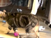 Пока друга не было, трахнул его жену 1/16