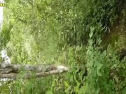 La fantasía de coger en la montaña con tu cuñada recomiendo no saltarla 12/16