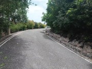 Pattaya Thailand! 10/16