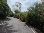 Pattaya Thailand! 9/16