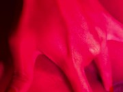 Asian Mastubation 8/16