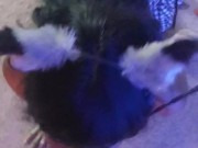 Slutty Black Sex Kitten Slave 1/16