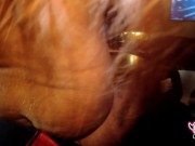 Sexy Super Curvy MILF sucks and fucks her way to a massive load on her BIG ASS! 8/16