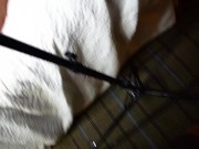 Queen Rogue and Kitty drain Beasts balls dry 5/16