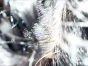 Hidden oral sex + vibrator inside… I end up all red! 🥵 1/16