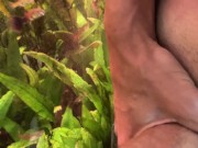 jerk off front of the wildlife 11/16