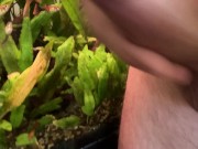 jerk off front of the wildlife 4/16