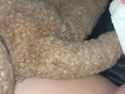 PEOPLE HAVE LEGAL CONSITUTIONAL RIGHTS TO PROTEST&VOCALIZE MINDS WITH NO PERSECUTION-CALIFORNIA 10/16