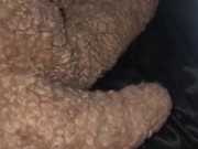 PEOPLE HAVE LEGAL CONSITUTIONAL RIGHTS TO PROTEST&VOCALIZE MINDS WITH NO PERSECUTION-CALIFORNIA 7/16