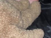 PEOPLE HAVE LEGAL CONSITUTIONAL RIGHTS TO PROTEST&VOCALIZE MINDS WITH NO PERSECUTION-CALIFORNIA 8/16