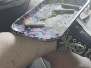 Piggy messing with Marijuana 16/16