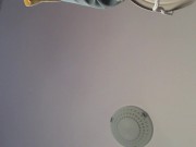 Amateur wife doing housework naked. Milf with hairy pussy, big ass. 1/16