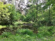 Hiking with my father in law and my brother in law, I suck both of them at the same time 2/16