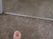 Misha Creme l Black BBW bimbo giving foot job to ovipositor dildo See more on Onlyfans mishacreme 💖 10/16