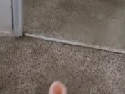 Misha Creme l Black BBW bimbo giving foot job to ovipositor dildo See more on Onlyfans mishacreme 💖 6/16