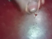 House boy masturbating his black hard dark cock when alone in the house 🍆💦🤤 10/16