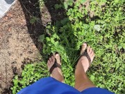 Aaron Skeetman Pissing In The Golden Sun After Tending The Garden 3/16