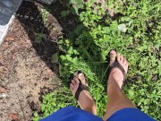 Aaron Skeetman Pissing In The Golden Sun After Tending The Garden 4/16