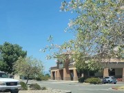 Walmart Parking Lot 1/16